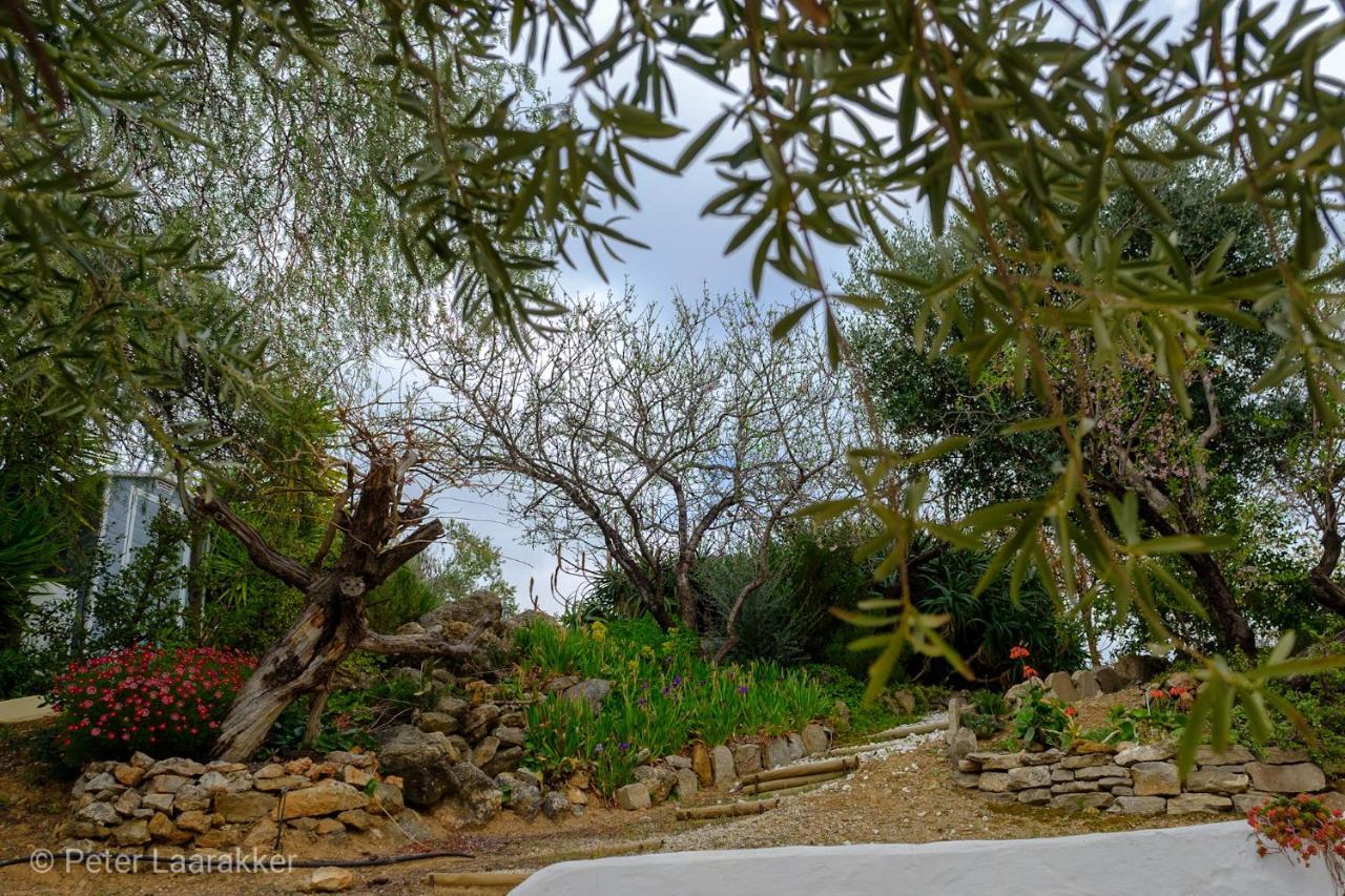 Finca Gordo Ríogordo Buitenkant foto